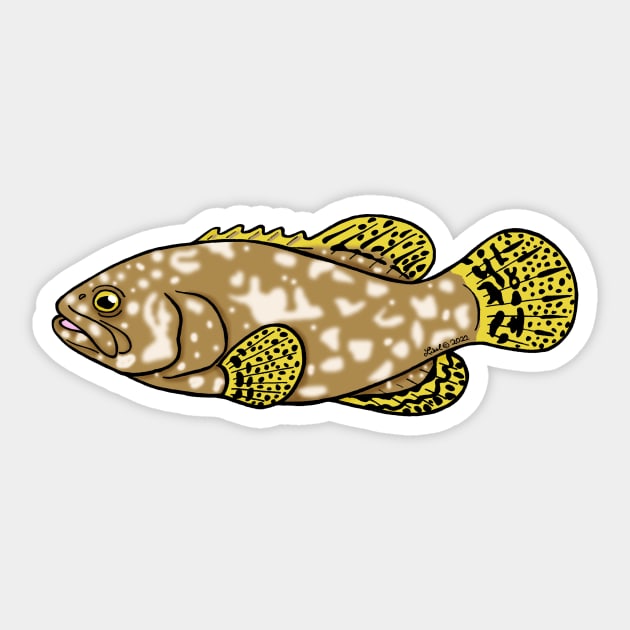Queensland Grouper Sticker by HonuHoney